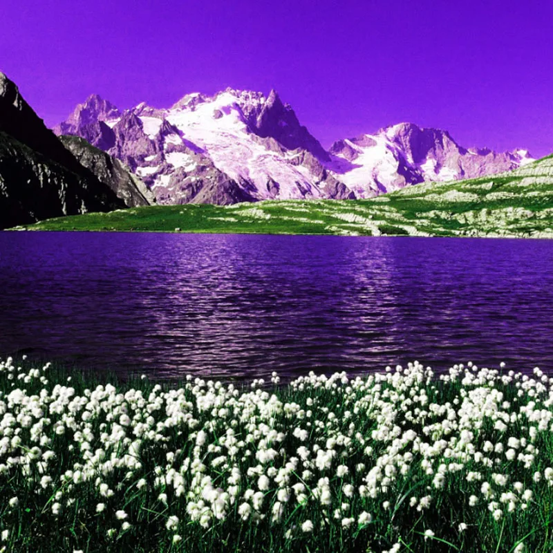 

JX B130 130kg Mega Torque Full CNC Metal Gear Standard Digital Brushless Servo for 1/5 RC car Truck Robot Drone