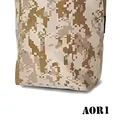 AOR1