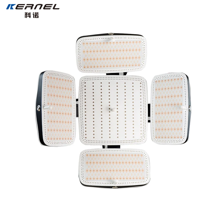 Factory Direct Sale New Laser Hair Growth Machine Therapy for Hair Loss Kernel Kn8000a Treatment