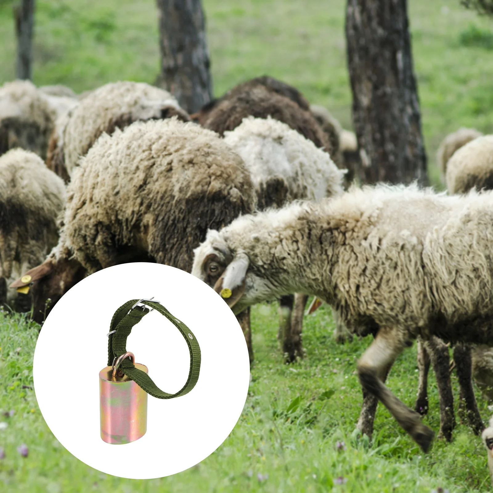 1 مجموعة 1 مجموعة من أجراس الماشية المعدنية خمر مزرعة الحيوان أجراس بصوت عال للماشية الأغنام الحيوانات الأليفة مكافحة خسر Diy بها بنفسك الحرفية ديكور الحلي #2