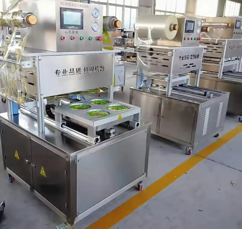FL Automatic Modified Atmosphere Sealing Packer, Vacuum Equipment for Butcher Supplies, Commercial Storage Unit with Pouches