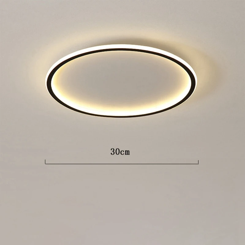 1 PCS LED Ceiling Light  Modern Decor Ceiling Light For Kitchen, Hallway, Office,Porch Bedroom 38W