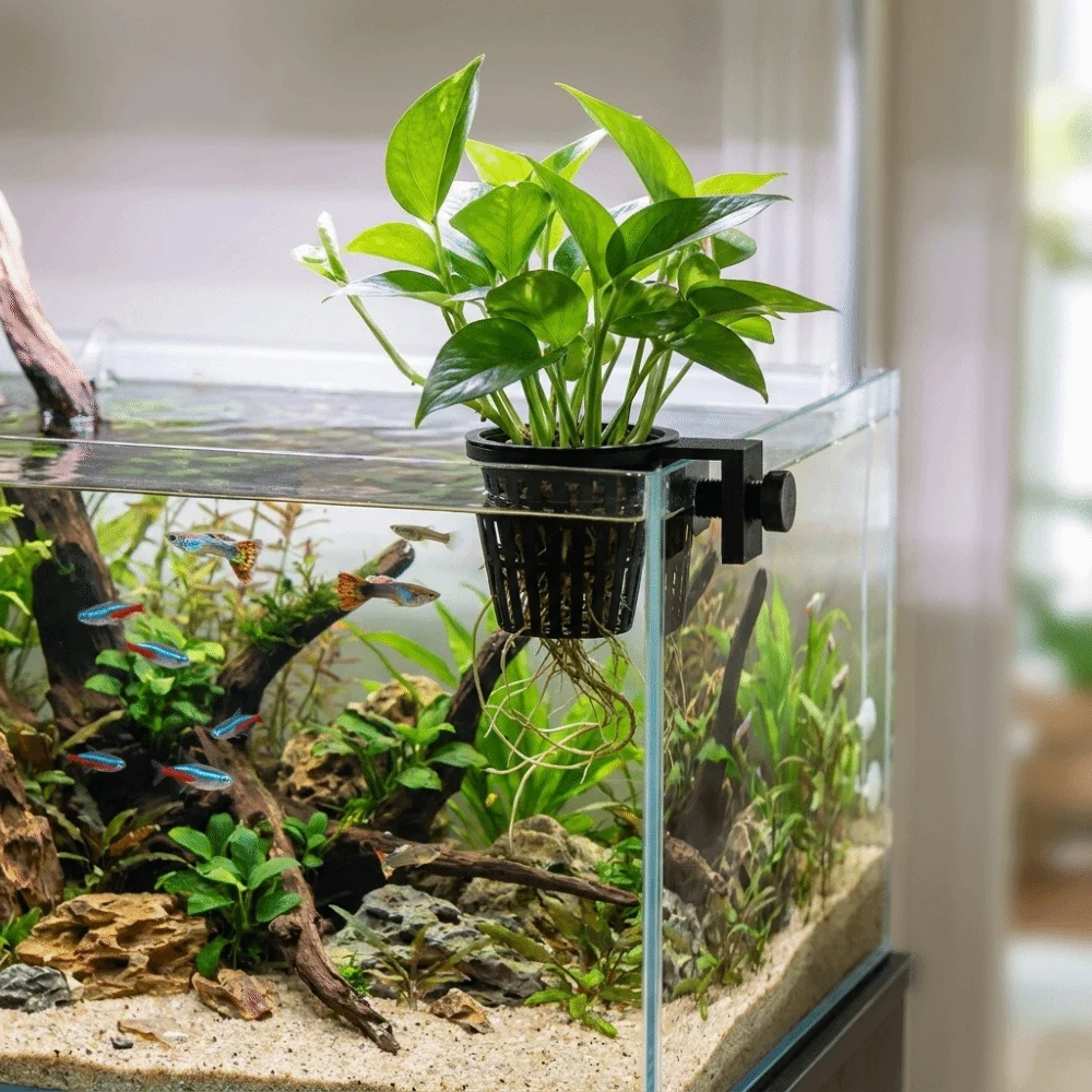 Top Hanging Aquarium Plant Holder Screw Clamp/Suction Cup Wall-Mounted Hydroponic Planting Basket Plastic Soilless Cultivation