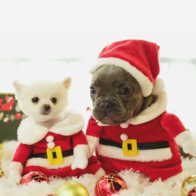 KX4B Santa Costume Dog Christment Santa Suit & Hat Set Sở trang phục Plush PET