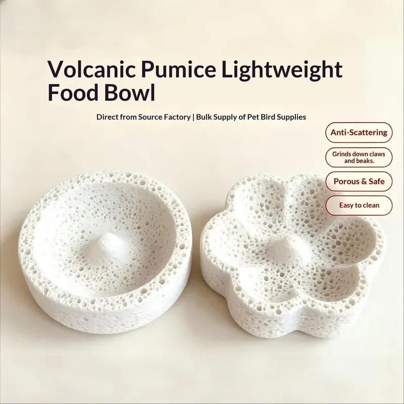 Volcanic Rock Bird Feeder Dual Use Mineral Food Bowl for Pet Birds Claw Grinder and Feeding Tray