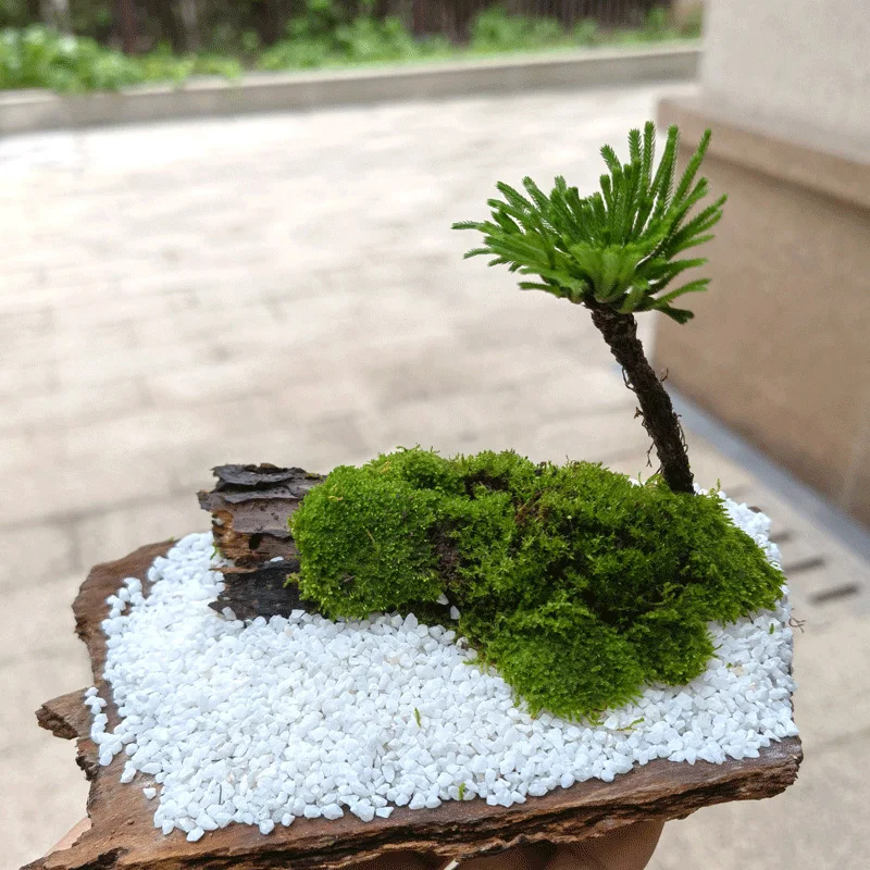 Pedra de cascalho em miniatura, rocha natural para diy, jardim de fadas, fazenda, micro paisagem, modelo de decoração, kits de paralelepípedos