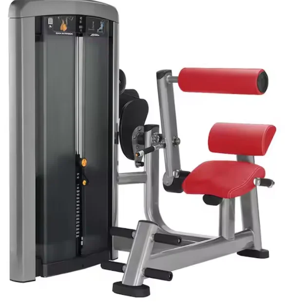 Professional Commercial Back Extension Machine Muscle Strength Training Gym Equipment 2025