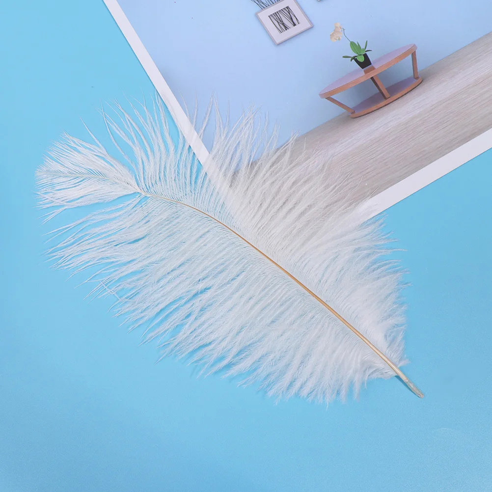 

20Pcs White Ostrich Elegant Long Lasting Color Photo Props Wedding Festival Decorations Household Adornment