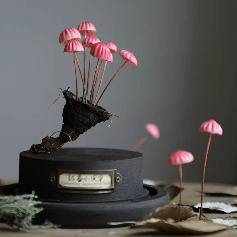 Ornements de champignons artisanaux faits à la main Marasmius rouge, jouets de bureau, œuvre d'art personnalisable, Collection de décoration, cadeau