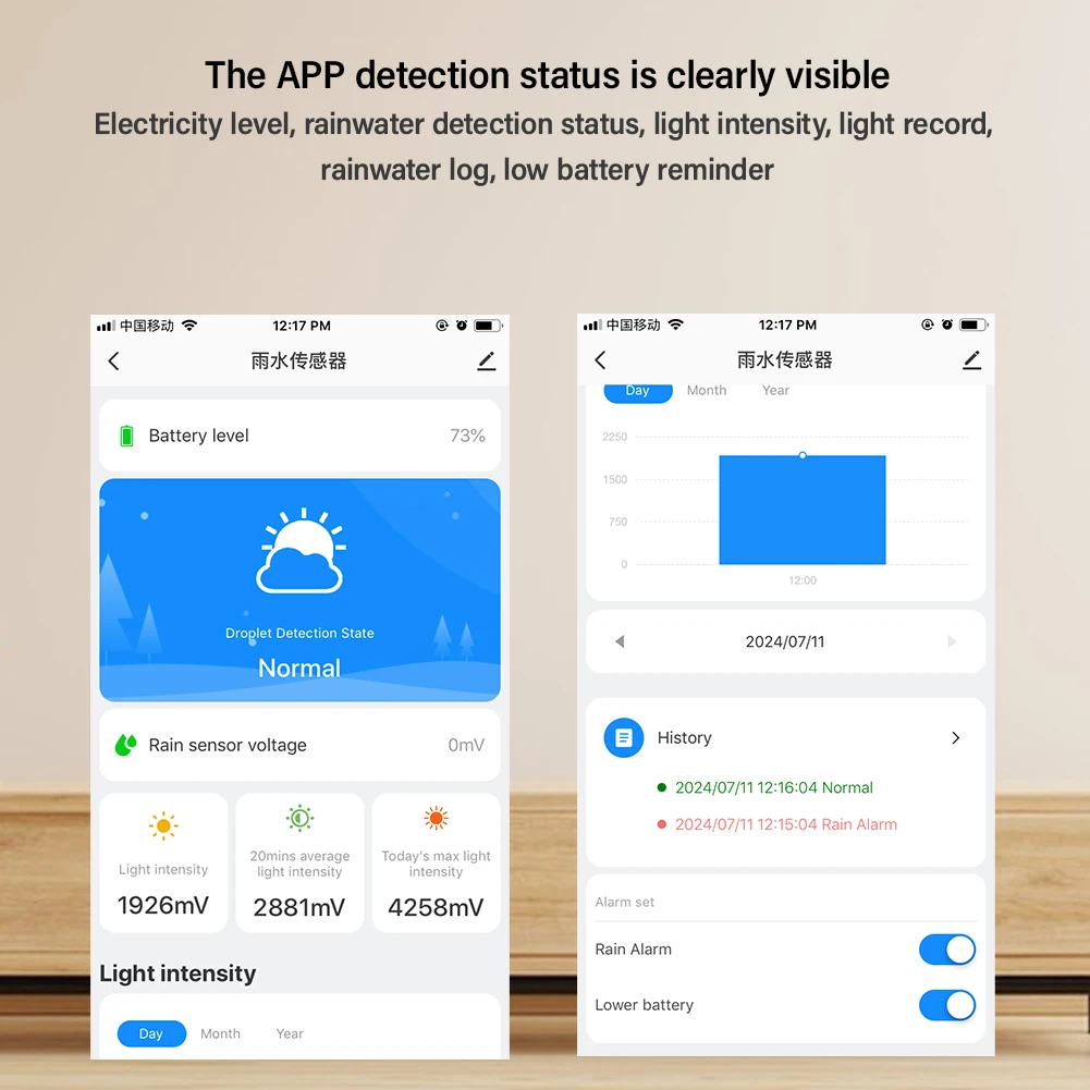 Zigbee WiFi Tuya Sunlight Rain Sensor Solar Charging Real-time Rainwater Detector Smart Life App Controlled for House Outdoor