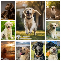 Labrador Retriever Diamond Painting Kits Photo Art 5d Diy Full Square Round Mosaic Cross Stitch Embroidery Home Decor Gift
