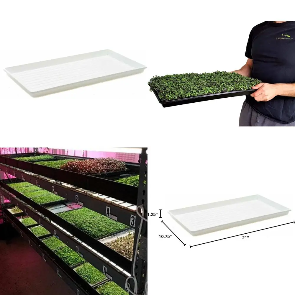 

5 упаковок белых сверхпрочных неглубоких микрозеленых лотков для выращивания пшеничной травы и паростков судьбы