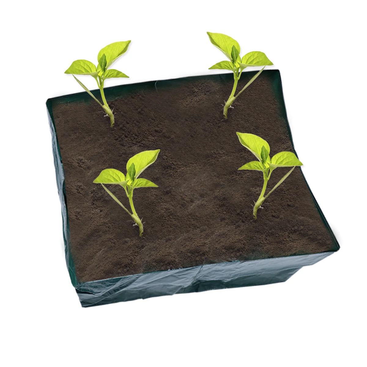 

Flower Planting 60X60X25Cm Green Four-Grid Cultivation Bag With Drainage Holes Outdoor Balcony Vegetable Planter Pool Mixed
