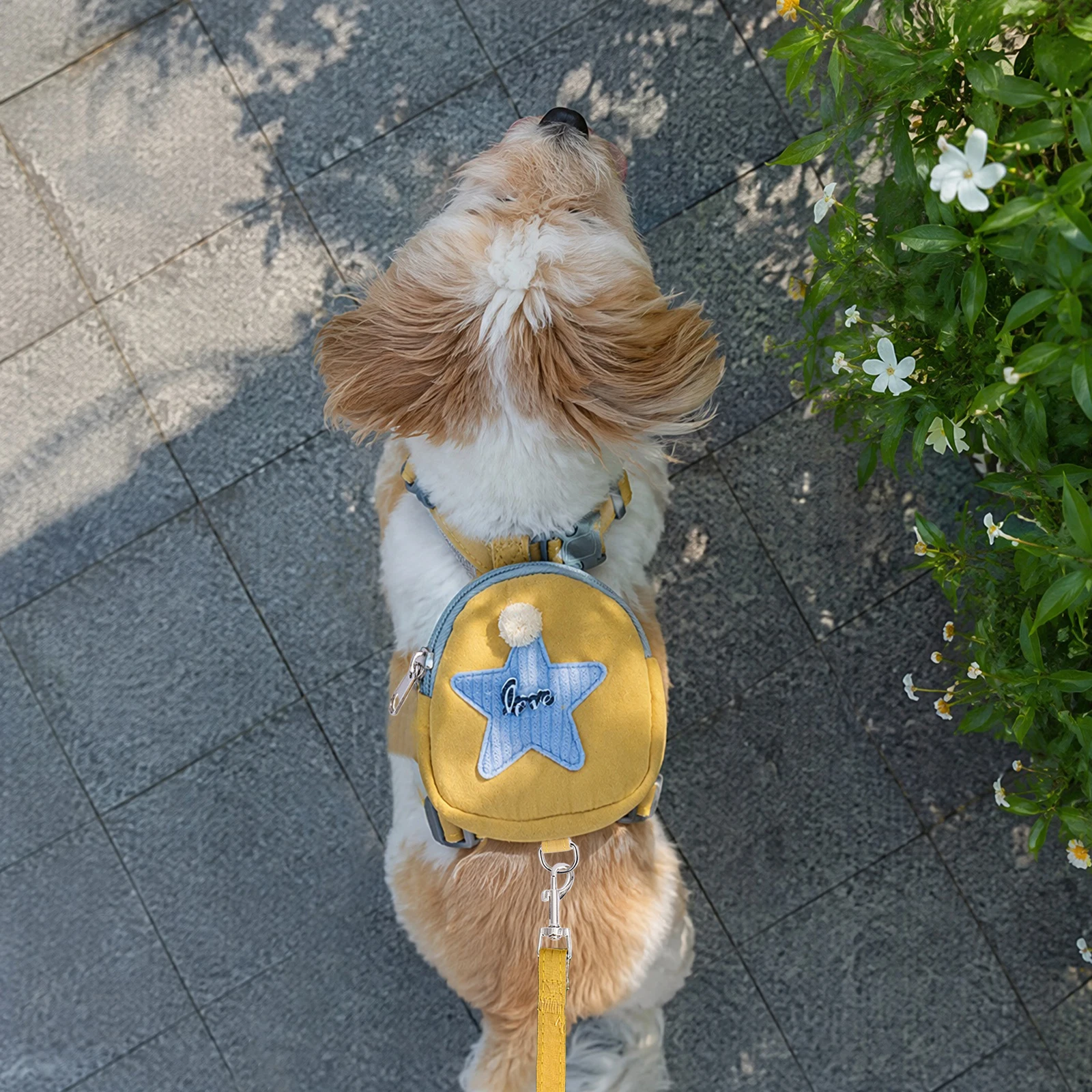 Arnês para Cães com Mochila De - No Pull Dog Harness avaliação e preço