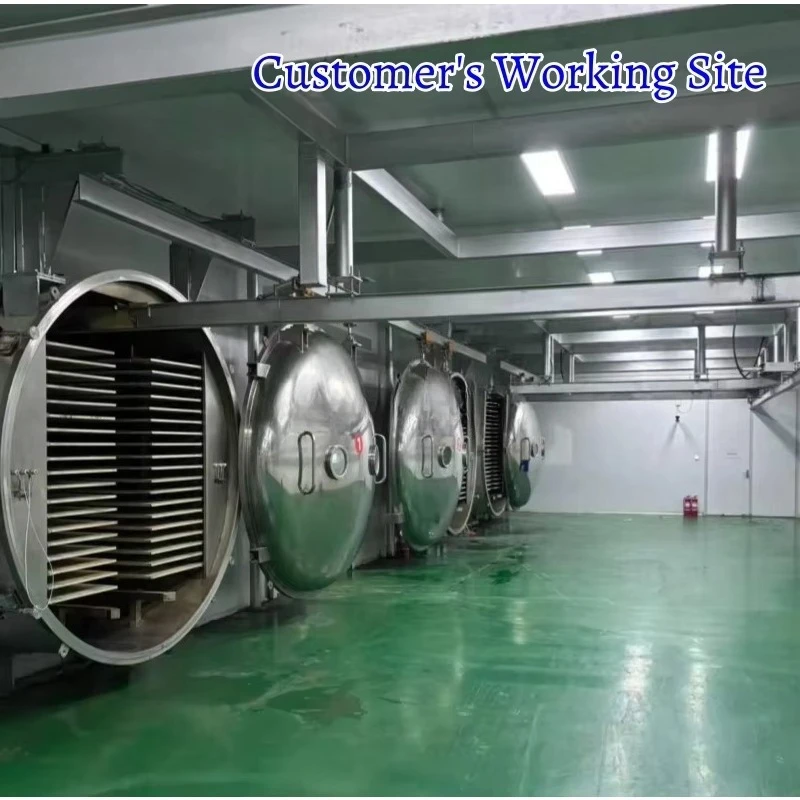 Industrial Lyophilizer Vacuum Freeze Dryer, Multiple Capacity Models for Fruit, Vegetable, Meat & Pet Food Freeze Drying Plant