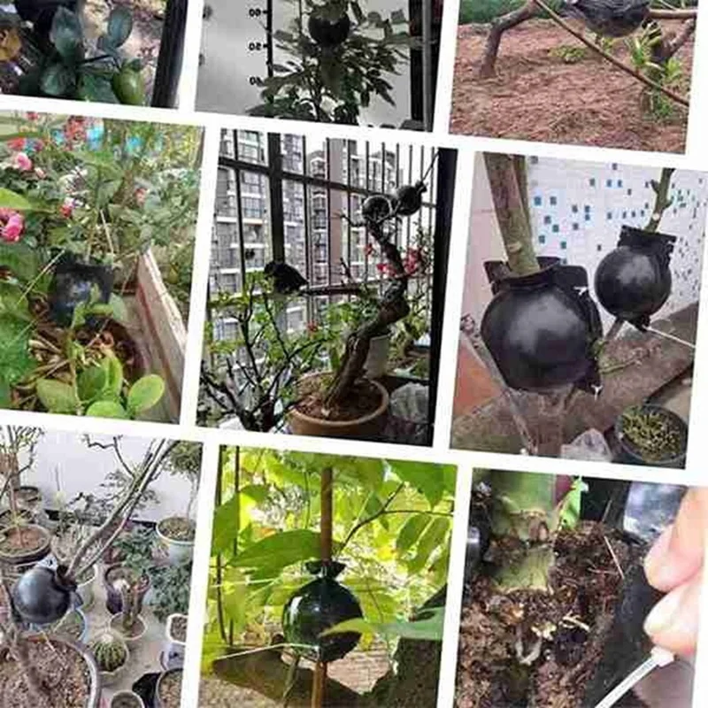 8 ซม.พืช Rooting อุปกรณ์แรงดันสูง Propagation Ball ปลูกกล่อง Breeding สําหรับ Garden Graft กล่อง Sapling