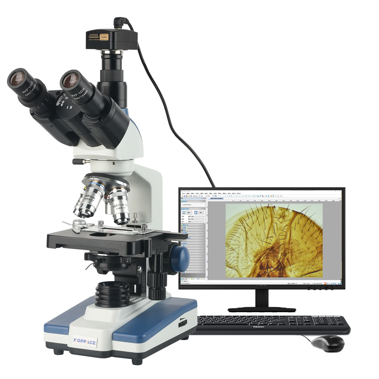 KOPPACE 307X-7690X Electron Compound Lab Microscope 5 Million Pixels USB2.0 Camera