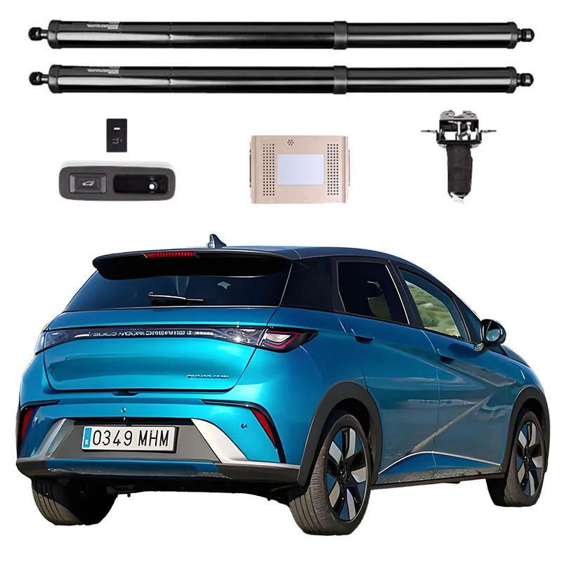 

For BYD Dolphin Surf 2021-2025 Smart Power Tailgate Electric Rear Door Auto Trunk With Remote Control Hands-Free Kick Optional