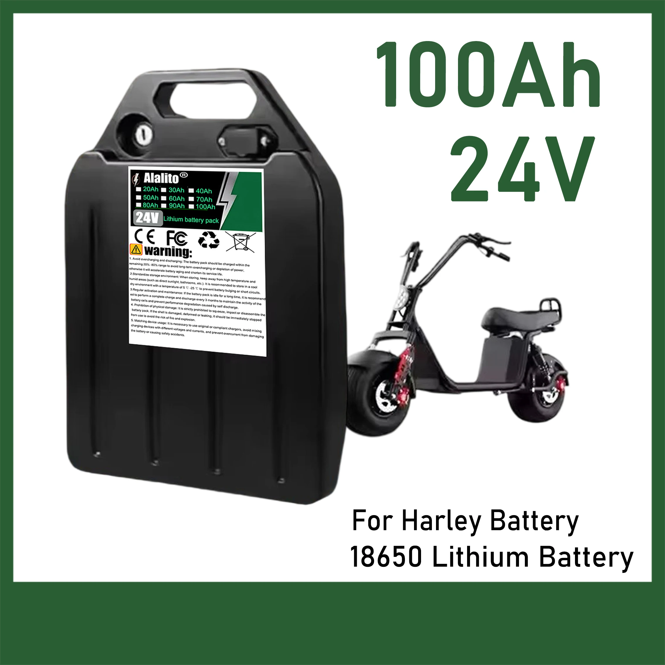 Air freight, 24V 100Ah, multiple capacity options, suitable for 250-2000W motors, built-in BMS protection