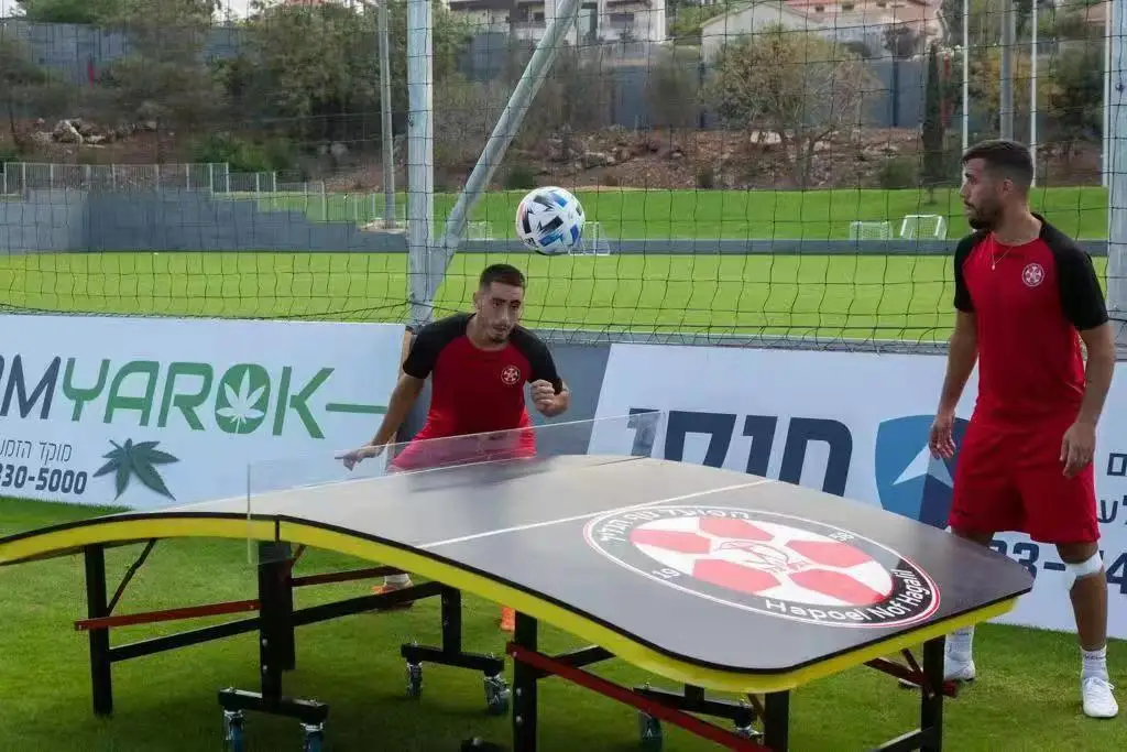 مقاوم للماء SMC قابل للطي بينغبونغ وكرة القدم طاولة تنس الطاولة في الهواء الطلق/داخلي لون مخصص #4