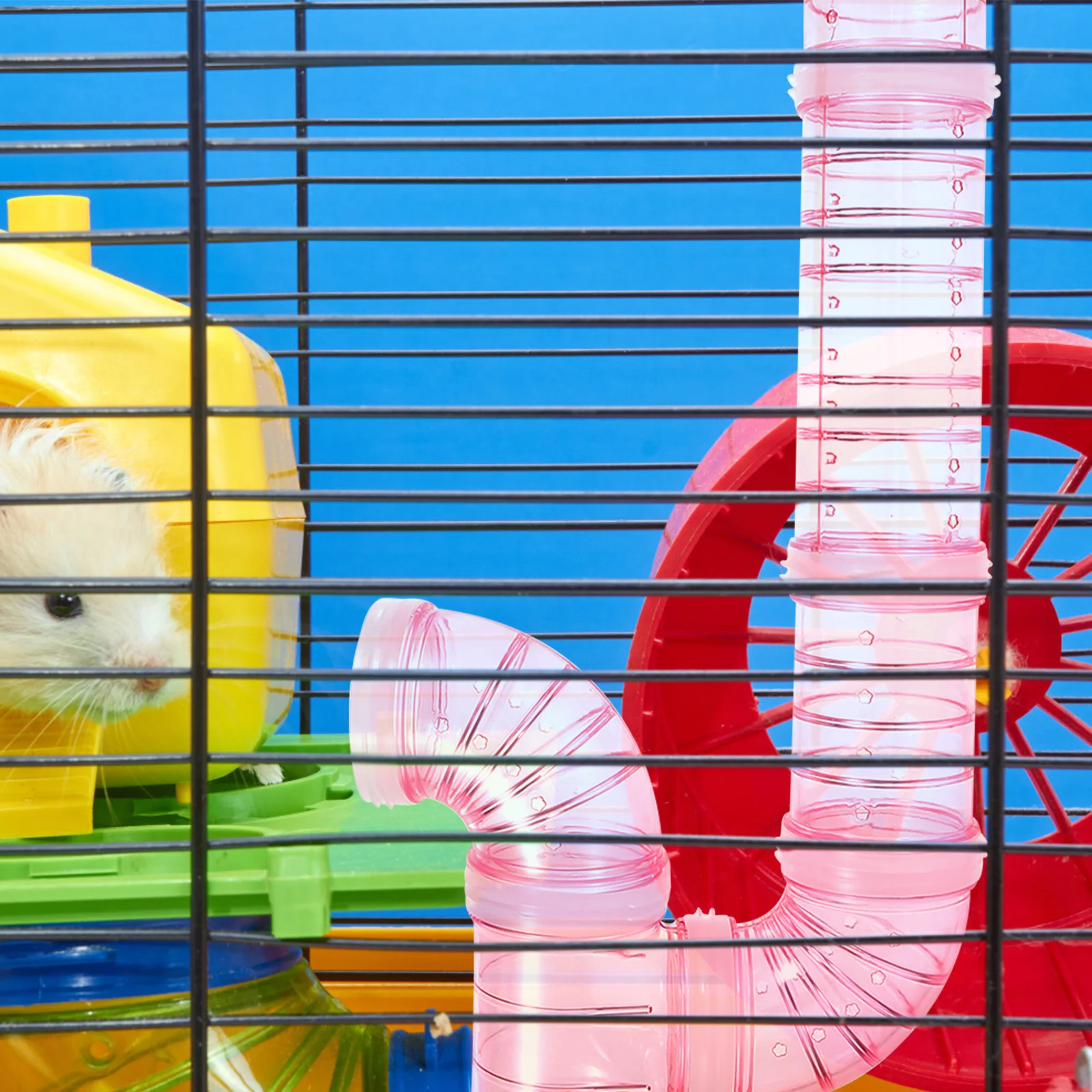 

Hamster Maze DIY Toys Plastic Rat Cage Maze Connector Exercise Kits Pet Activity Structure Cage Connector Area