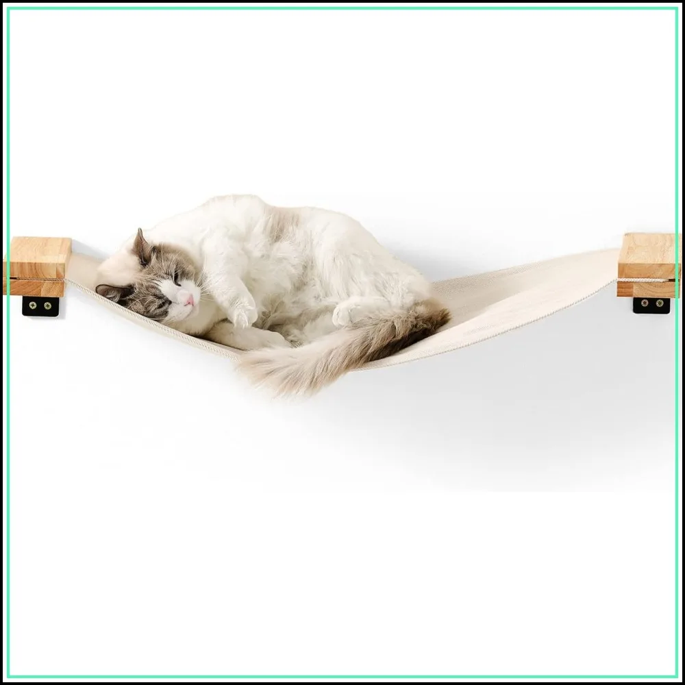 

Cat Wall Furniture 34x13 inch, Rubberwood Hammock Shelves, Window Perch, Easy DIY Installation
