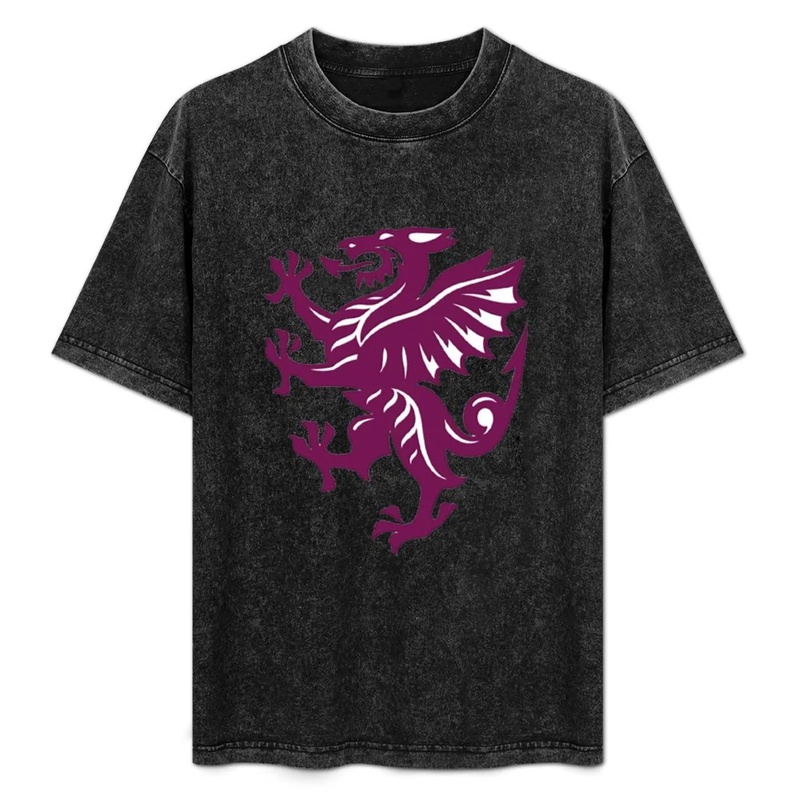 

Somerset cricket T-Shirt Basic Simple Design Short Sleeve Shirt