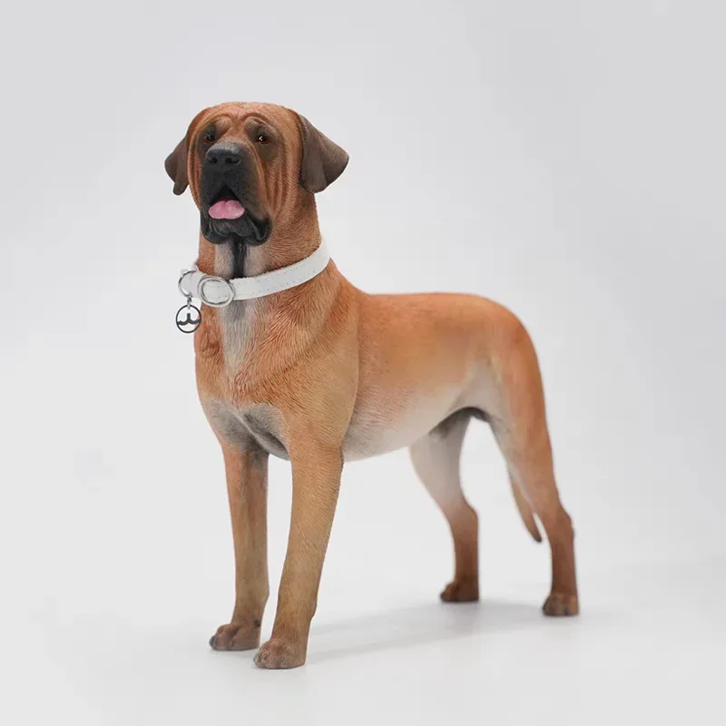 Modelo de Perro Tosa Inu de Resina a Escala 1/6, en Postura Sentada/De Pie, para Figuras de 12 Pulgadas, Adorno Creativo