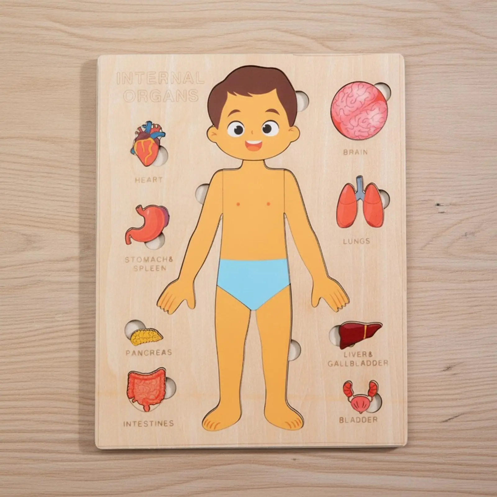 Human Body Puzzle Wooden Toy for Kids Educational Learning Children Anatomy Organ Board Montessori Sensory Game