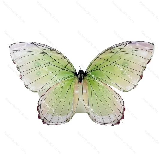 

Bionic Butterfly Remote Control Flapping Wing Aircraft, Parachute Wing Design, Full Set Ready to Fly