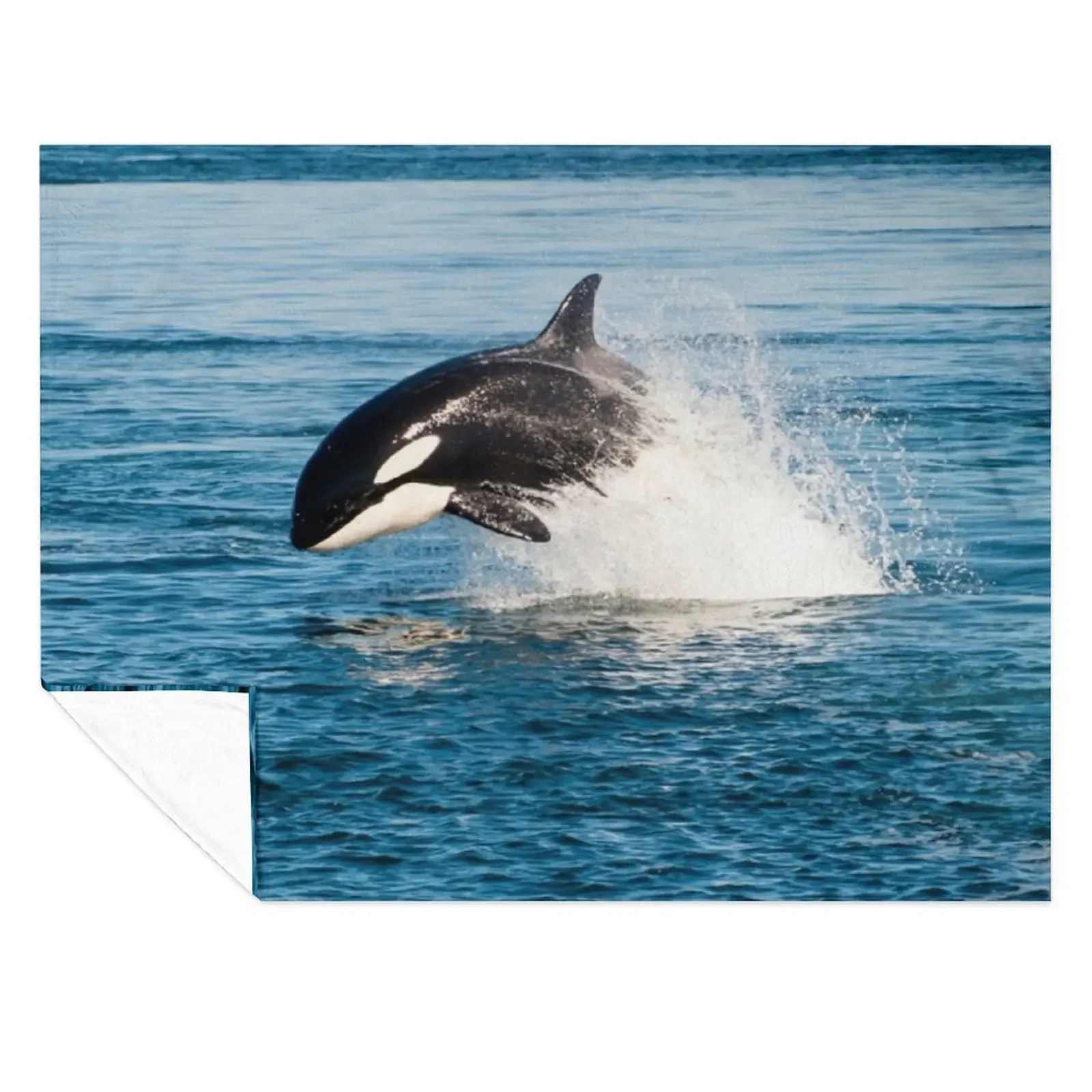 

Killer whale orca jumping Throw Blanket Luxury St Travel Comforter christmas gifts Blankets
