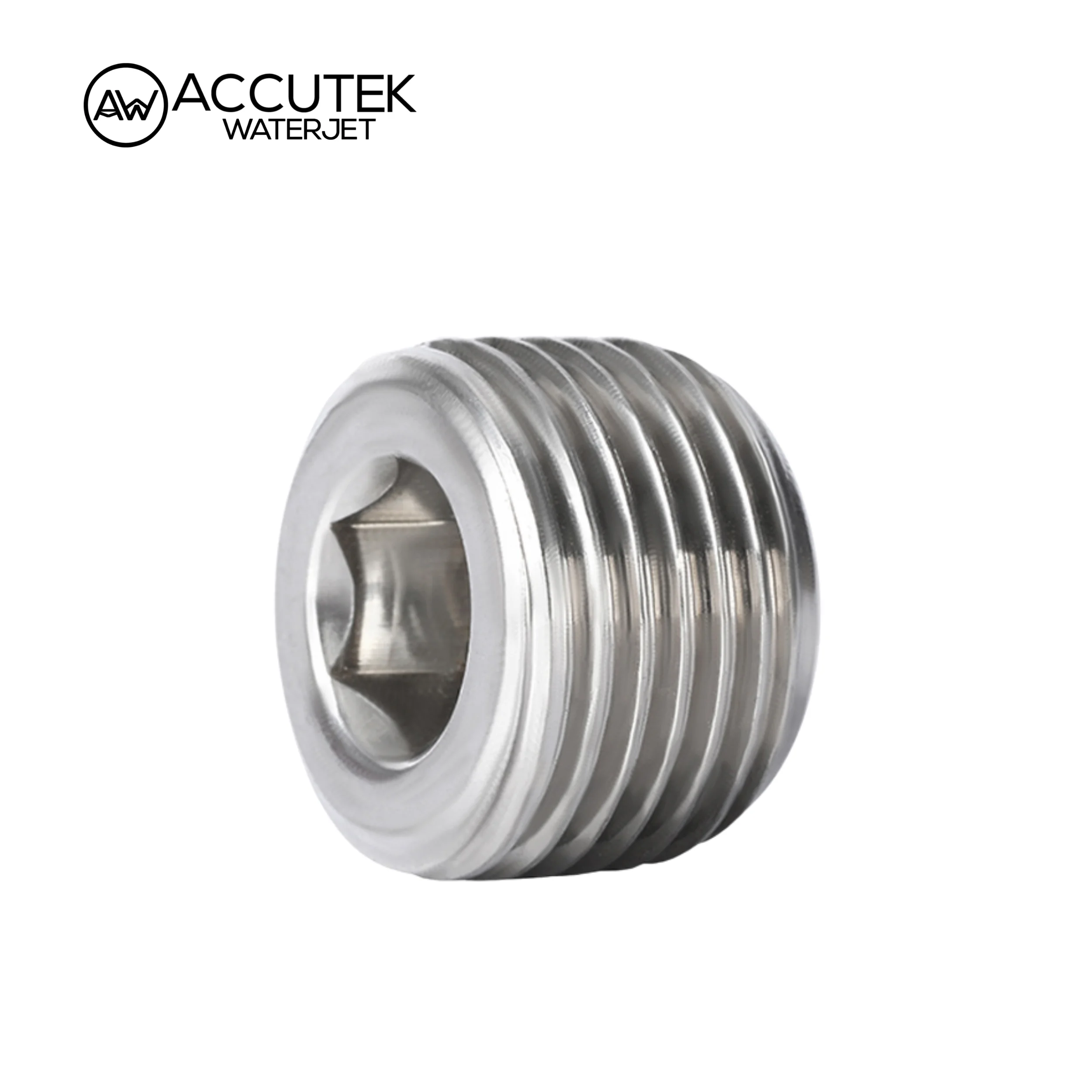 AW® 304 Stainless Steel Hollow Hex Plugs Pipe Fittings Male Thread BSPT 1/8