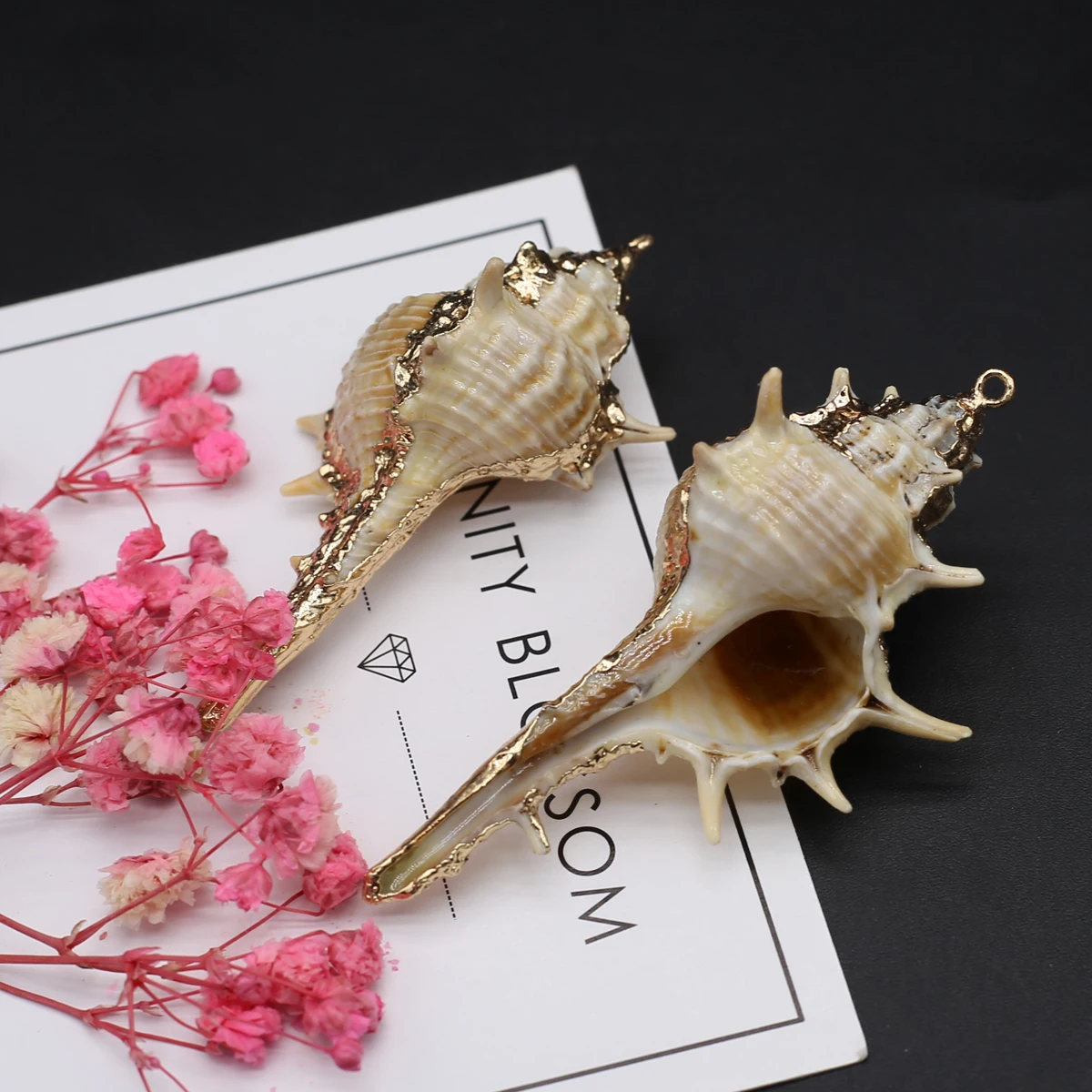 Natural Seashell Metal Crafts Ornaments Tiny Shell Conch Cowire Shell Beads Charms Pendants for Jewelry Making DIY Accessries