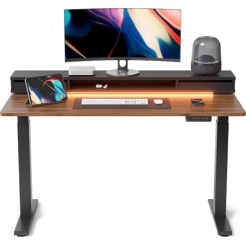 60 x 24 Inch Height Adjustable Electric Standing Desk with Double Drawers, Stand Up Desk with