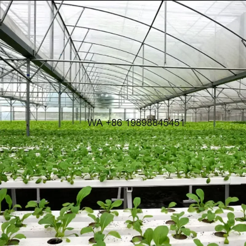 Wmwmnu Durable NFT Hydroponic System Vertical Irrigation Equipment Automated Hydroponics for Agricultural Planting