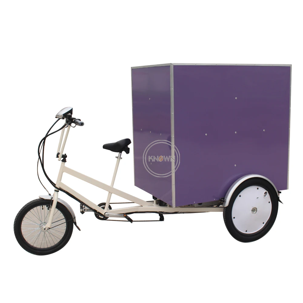 

Electric Cargo Bike Hotel Transport Cart Express Outdoor Cart 3 Wheels Electric Scooter Tricycle Trike