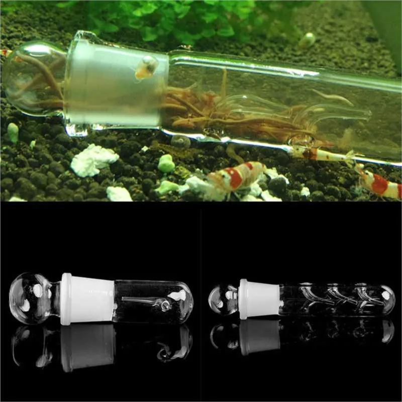 Aquarium Planaria Trap FIsh Tank Clear Glass Catch Trap for Cherry Shrimp Crystal Red Shrimp Dwarf Shrimp Flat Worms Leeches