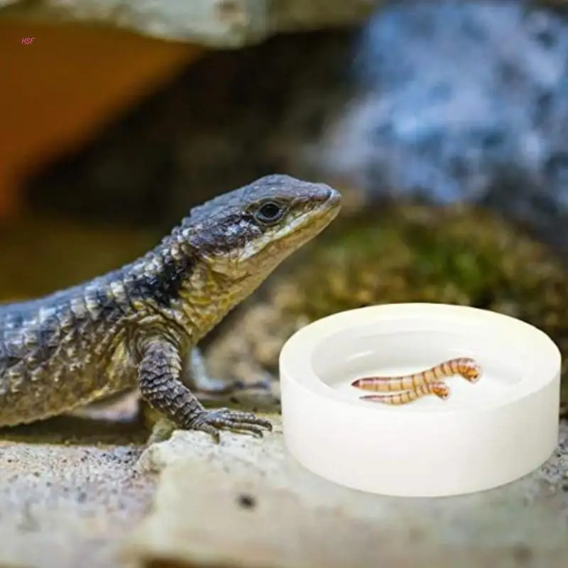 Reptiles  Bowl Anti-Escape Worm Dish Reptiles Feeding Dish Ceramics Reptiles Drinker Bowl for Lizards Geckos Snakes