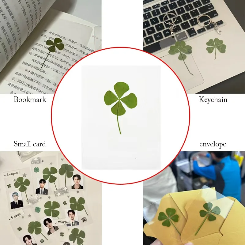 5PCS Lucky Four-Leaf Clover Bookmark -  Transparent Card, Simple Style Wishing Bookmark