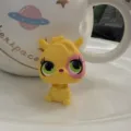 Caqui