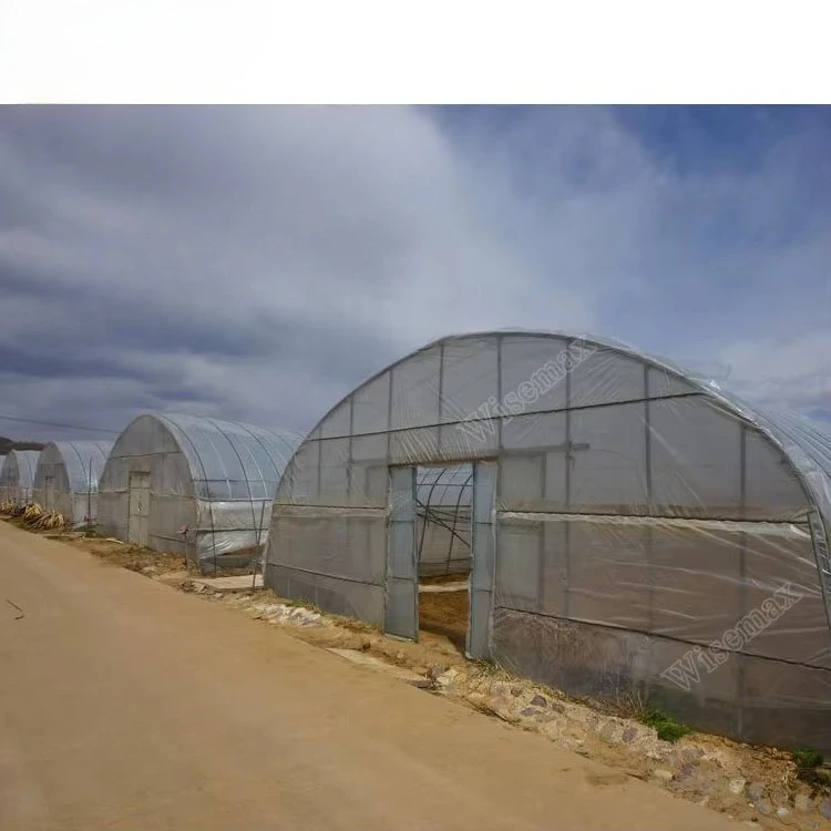 Large Walk-in Poly Tunnel Greenhouse Modular Grow Tent Portable Plant House Waterproof PE Cover Galvanized Steel Frame Shed
