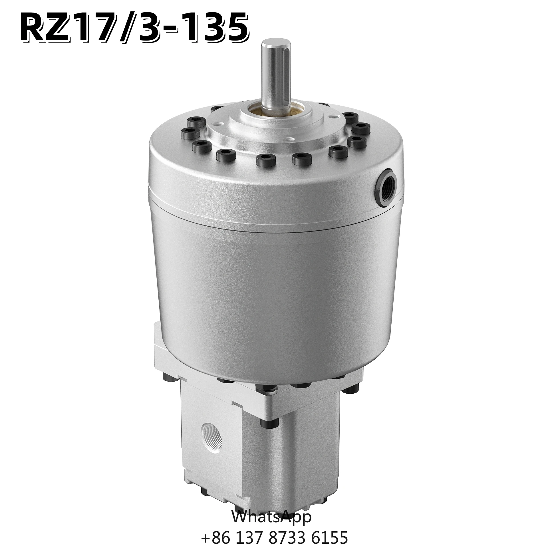 Large Flow Kamishiro Hydraulic RZ - Dual-stage Pump HAWE Radial Piston Pump MPE PE With Gear Pump For Oil Hydraulic Power Pack