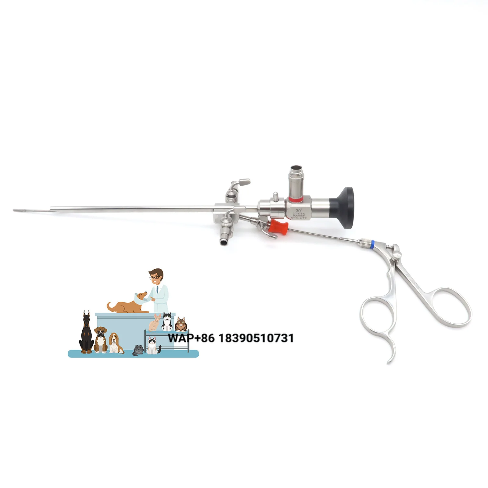 Animal Surgery Veterinary Endoscope 2.7 mm and 14.5 Fr Sheath and Forceps