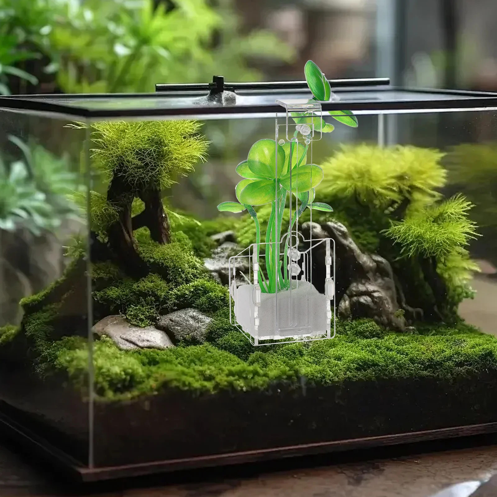 

4 Pcs Aquatic Planting Cup Aquarium Decorations Transparent Acrylic Fish Tank Planter Holder Reusable Sturdy Design Live Plants