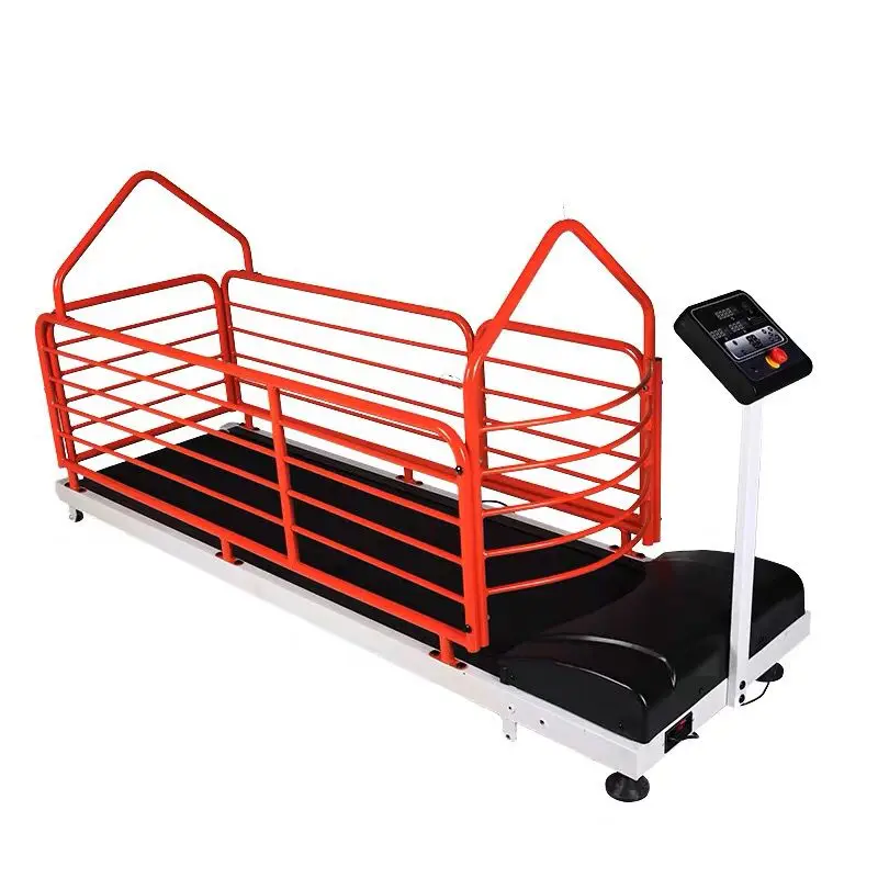 

Pet Treadmill Medium Dog Small Dog Trainer Dog Fitness Equipment Exercise SH605