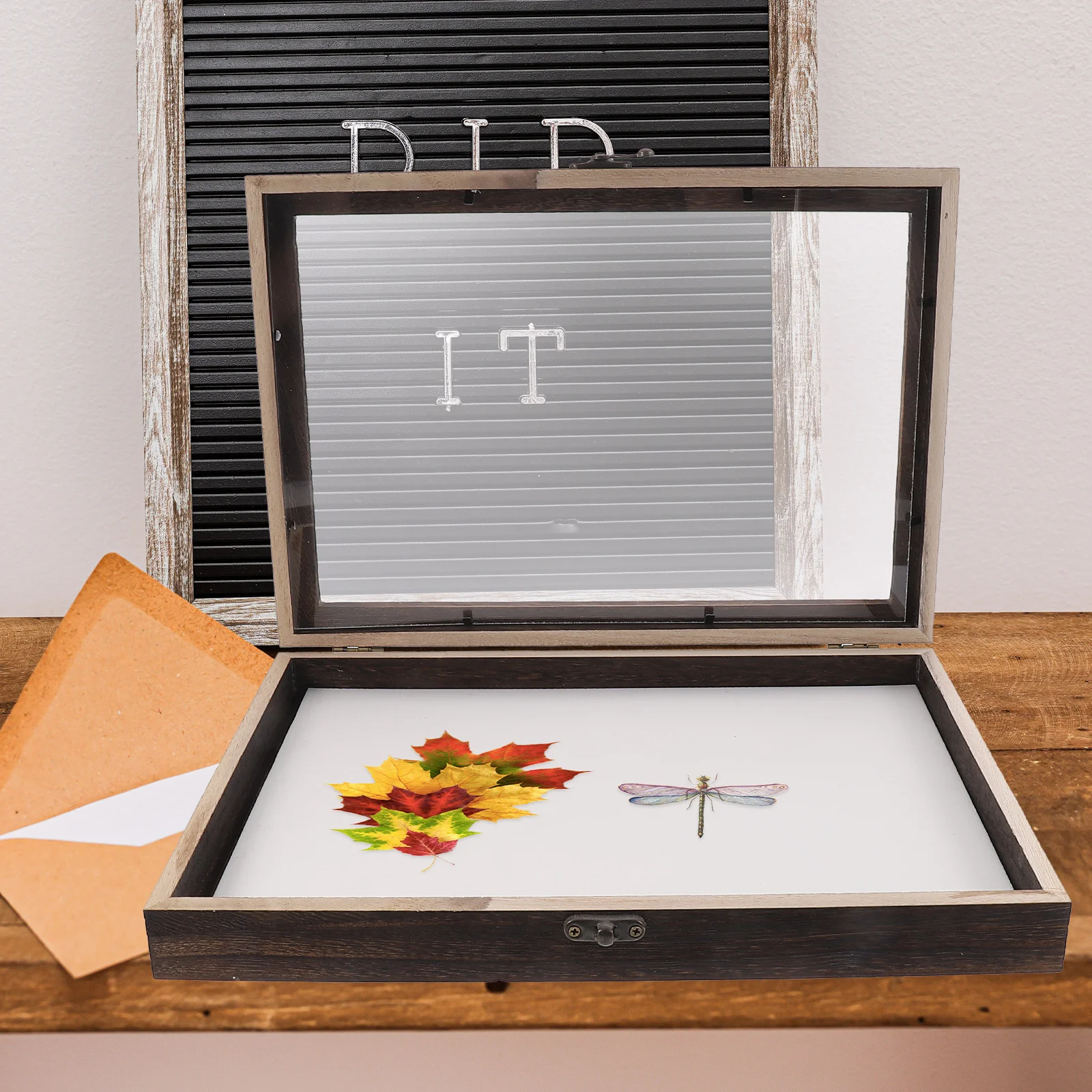 

1 set Wooden Display Box Insect Specimen Storage Transparent Lid Dust-Proof Showcase For Butterflies Jewelry Collection Specimen