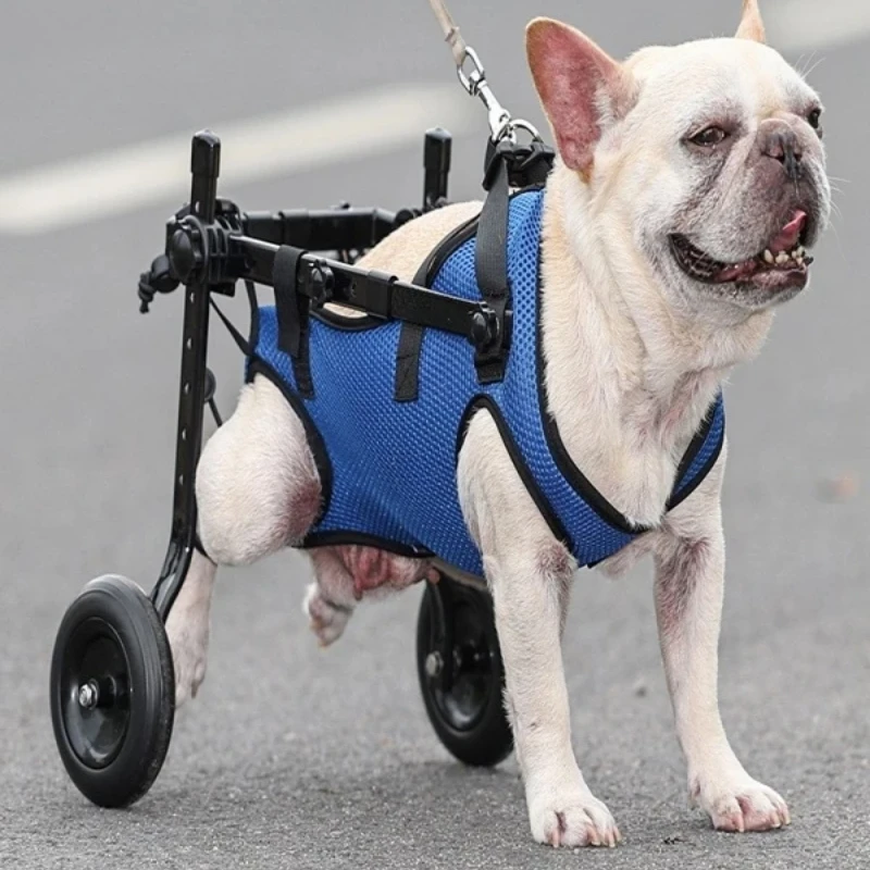 Large Wheel Dog Wheelchair Adjustable Mobility Aid for Disabled Pets Dog Leg Brace Hip Support Pet Rehabilitation Walker