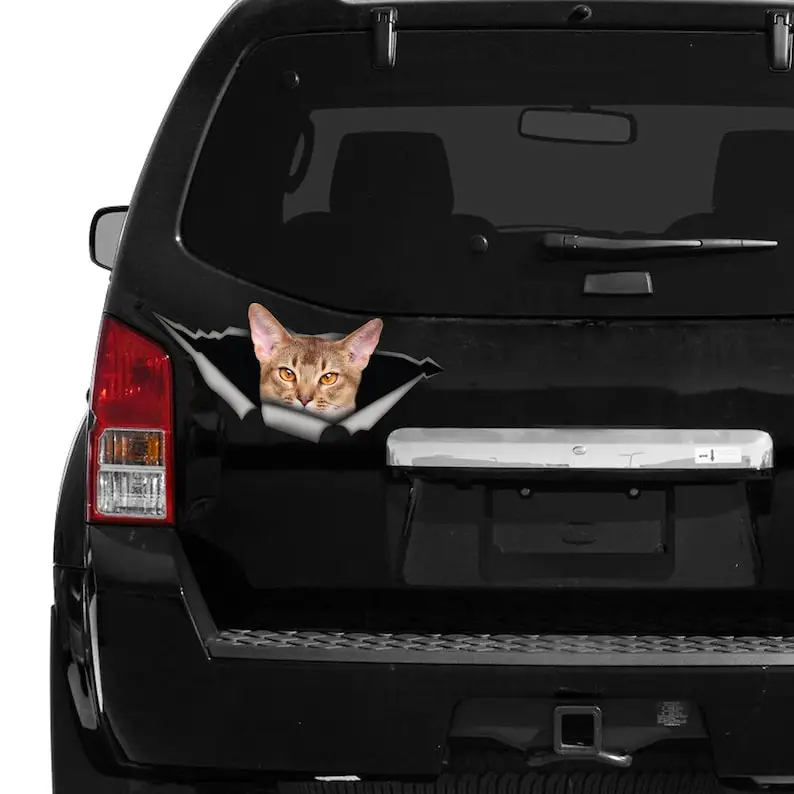 Cute Abyssinian cat car decal, funny sticker ,Abyssinian cat car magnet