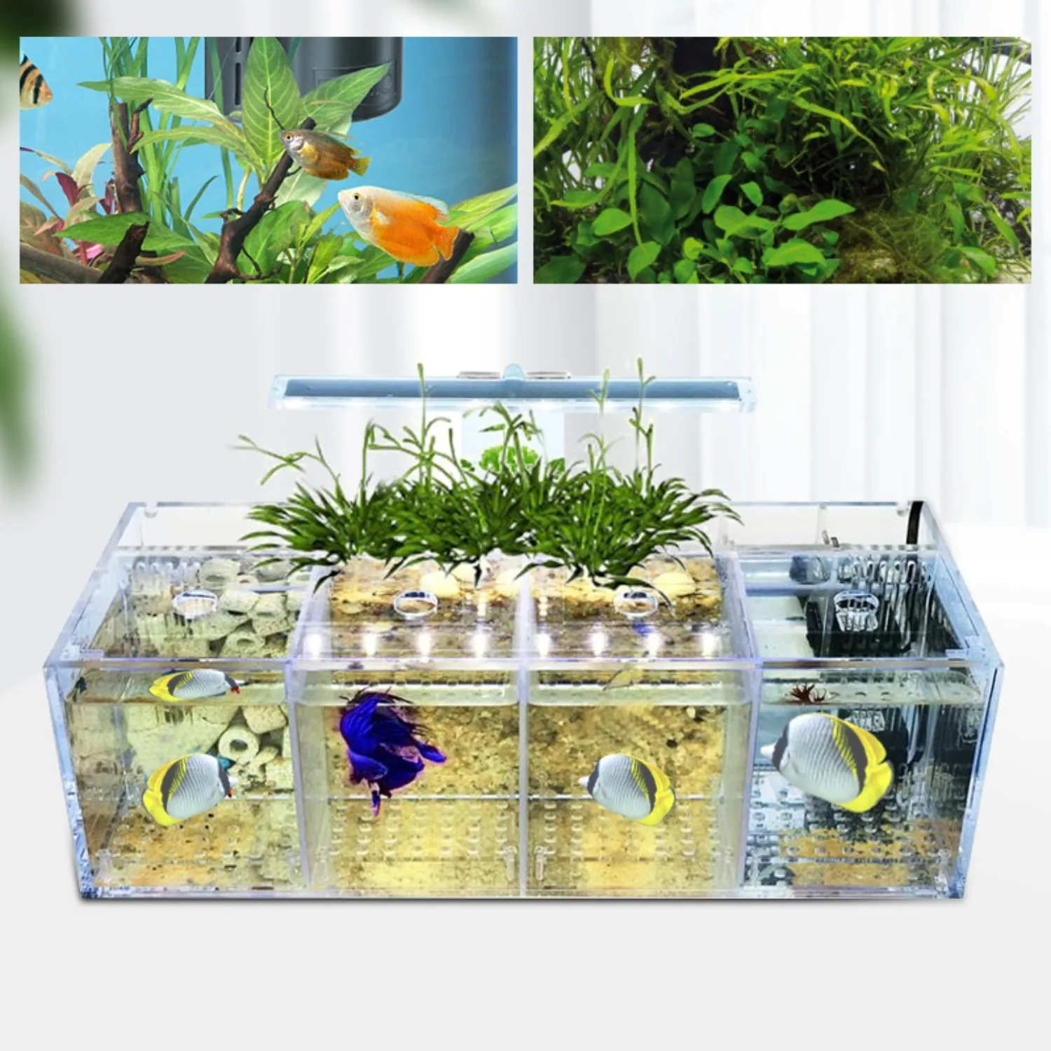 

4 Grid Fish Tank, LED Small Fish Aquarium, Double Glass Desktop Mini DIY Aquarium The Dormitory, Living Room, Office