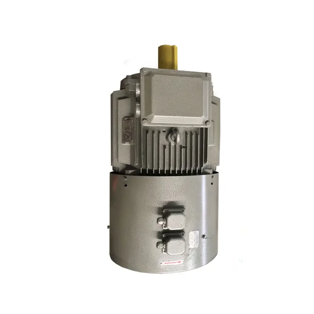 Brushless YE2-200L1-6 Ac Electric Motor with 18.5KW 25H3 Three Phase Induction Three Phase Asynchronous Motor